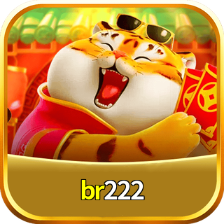 Logo da br222